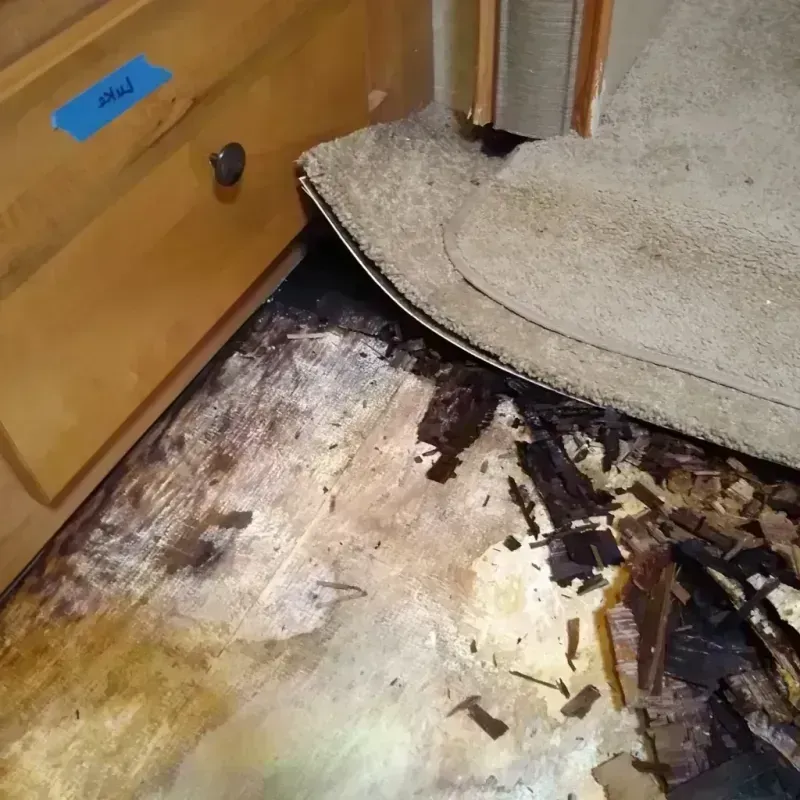 Wood Floor Water Damage in Park Forest, IL